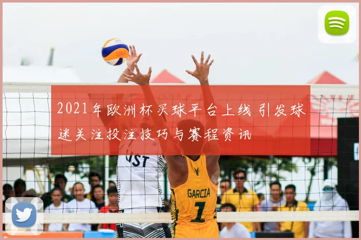 2021年欧洲杯买球平台上线 引发球迷关注投注技巧与赛程资讯