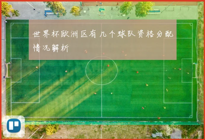 世界杯欧洲区有几个球队资格分配情况解析