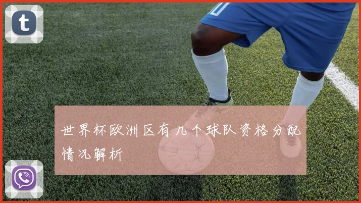 世界杯欧洲区有几个球队资格分配情况解析