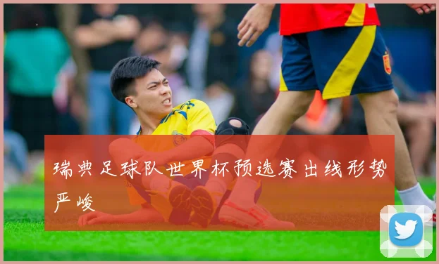 瑞典足球队世界杯预选赛出线形势严峻