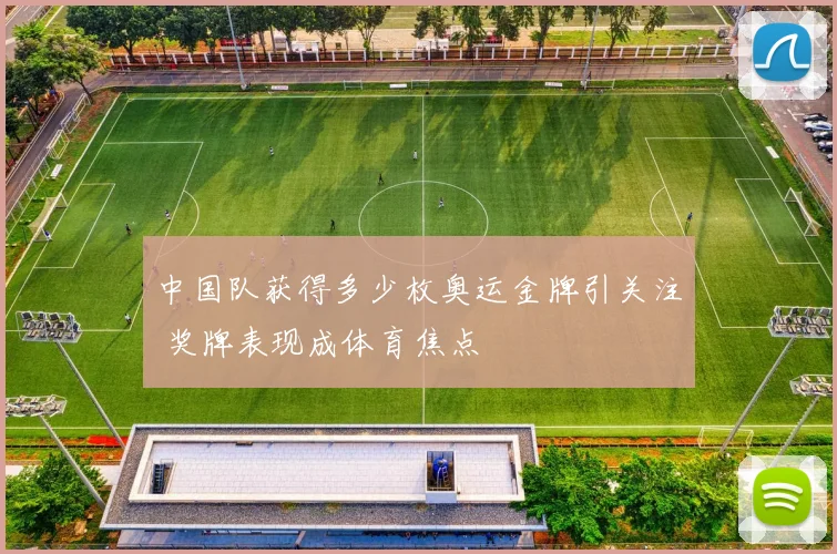 中国队获得多少枚奥运金牌引关注 奖牌表现成体育焦点
