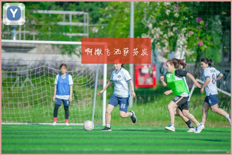 世界杯球队数量引发关注 赛事规模再成球迷热议焦点